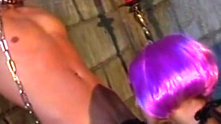 The Castle of Pleasure