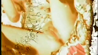 Blonde vintage MILF sucks and takes cock in her hairy beaver (No audio but music)