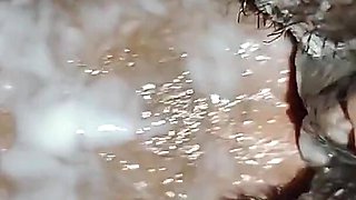 Desi Sister in Law's Pussy Creamed - Clear Hindi Audio