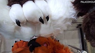 Amateur hooker pounded hardcore in her slit in the sex bus