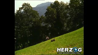 Booty Show - HerzogVideos