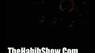 The Habib Springer Show!