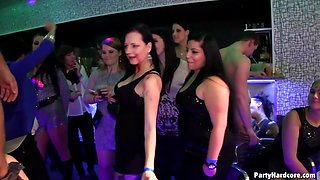 Beautiful horny babes fucked then sucks a big dick in a party.