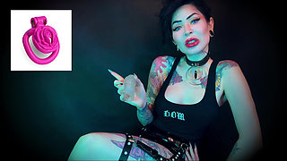 Wear the Clitty Chastity for a Month Let's Shrink Your Leftover Shrimp Locktober Shrinking