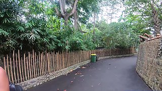 Tourist park visit and sex at home after