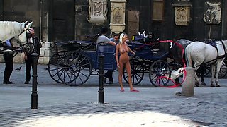 Horny blonde outdoor anal sex