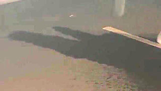 Golden Shower on a Public Street