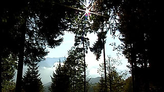 Bumsfidel in Upper Bavaria