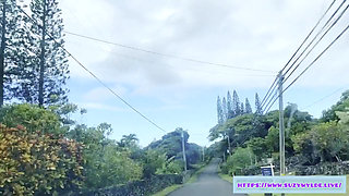 Sfw Road Trip to Hana for Suzy Wylde in Waimoku Falls, Maui