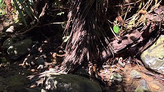 Outdoor Sex with My Girlfriend