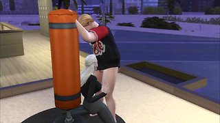 Sims diary