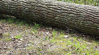 Pussy Pleasing Tree Log Squirting Fat Hog