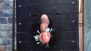 CRUELAMAZONS - Full Hd The Cbt Punishment