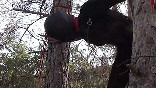 Half an Hour Compilation of a MILF Fucked Doggy Style with Repeated Orgasms