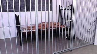 HuCows Katie Sleep Milking