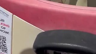 Getting Horny on the Bus
