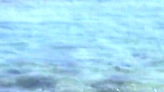 Excesses on the Women's Island Special Movie