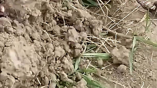 Pissing on a Muscles of Ants Huge Volume and Changing Her Wet Clothes Outdoor