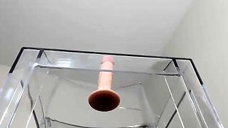 Blonde tight pussy babe solo toy fun in glamour masturbation