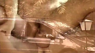 Big Pussy In Beautiful Hairy Pussy Big Boobs Blonde Fucking In The Garden