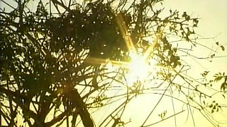 The Holiday Is for Fucking - Small Pussy Fucked by the Beach House