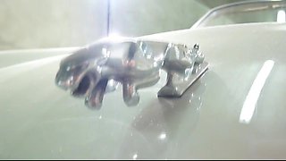 Jaguar
