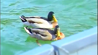 Lesbians sex party on the beach