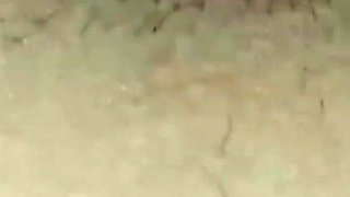 Anal Slave