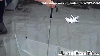 Rain Does Not Stop Japanese Chicks From Peeing In Public
