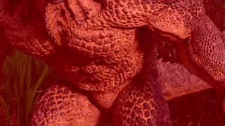 Fucking My Pregnant Stepsister in the Barn