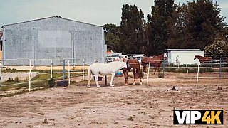 Vip4k. city pecker, country girls