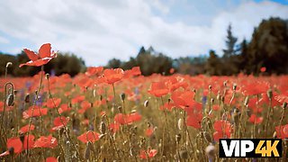 Vip4k. city shaft, country girls