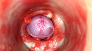 Cum Without Sperm. Excellent Internal Camera. 4K