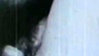 The Gozona Pig Gets Milk