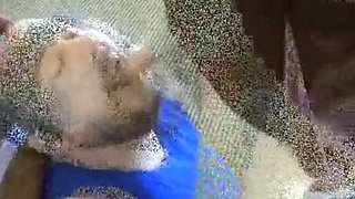 Grandpa and Daddy's Intimate BlowJob Session