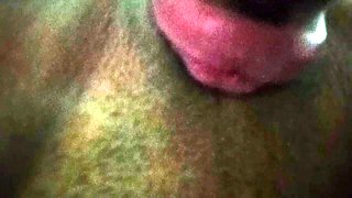 Ultra Close-up Pussy Licking - Accounter Adventures