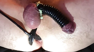 Dick Rings