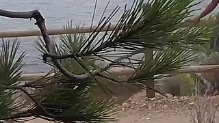 Dick Flash - I Pull Out My Cock in Front of a French Girl... Beach Path and She Helps Me Cum in Mounth Caught!!!