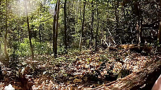 Big Load in the Woods April 2025