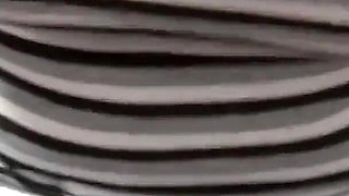 Curvy Mature Searching Fun