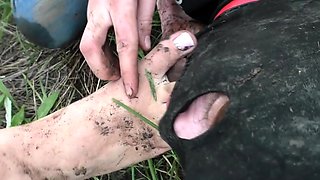 Valeria New Slave Girl For Humiliation Fresh Air, Nature