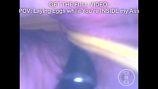 BEST Minicam Compilation in my Ass and Bladder!