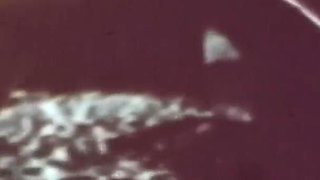 Vintage porn retro erotic theatre - heavenly brunette