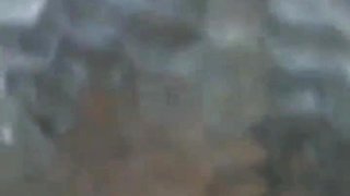 Sexy amateur masturbating and shows hot ass
