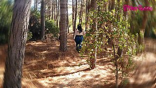 Walking Forest - Video for Fans with Slowmotion