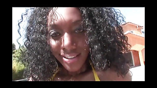 Horny Ebony Asshole Fuck Vol 8