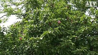 Full Video! - Stories of Eager Sluts - Spicy Moments of Homemade Perversion