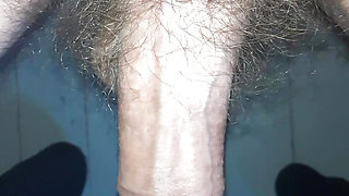 My penis