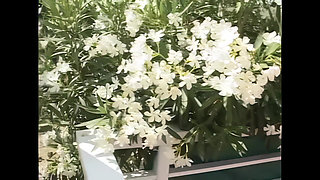 The Man Eats My Vagina