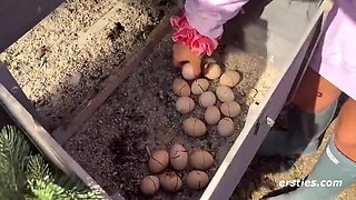 Cute Babe Cherry B Masturbates Outdoors On Her Farm In Italy